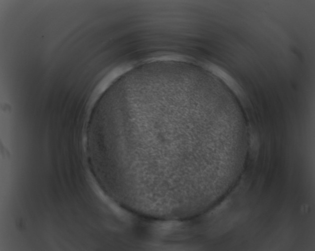 X0000090871282200708031001