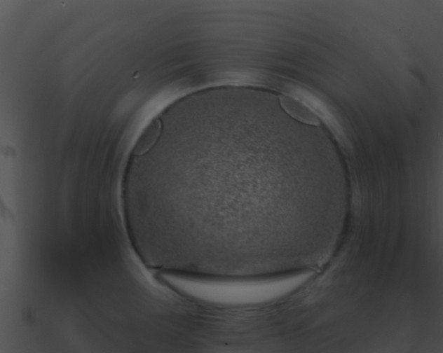 X0000090871283200708031001