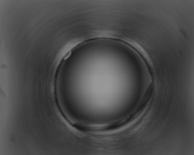 X0000090871285200708031001