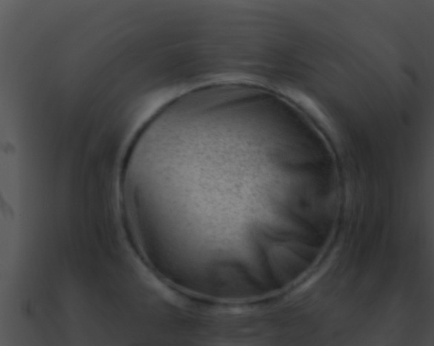 X0000090871286200708031001