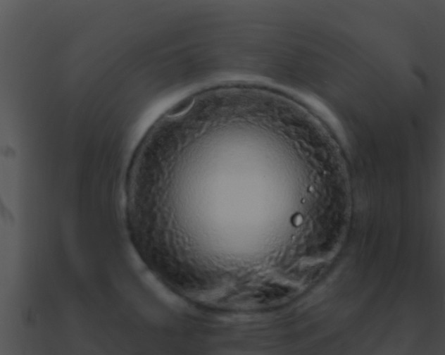 X0000090871287200708031001