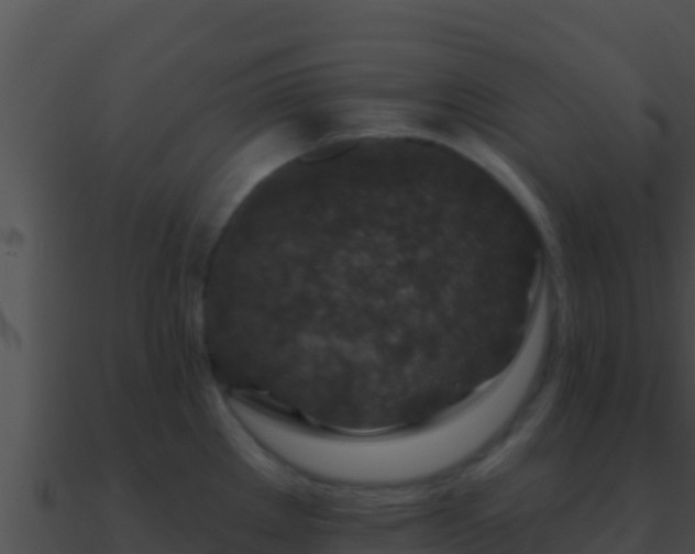 X0000090871289200708031001