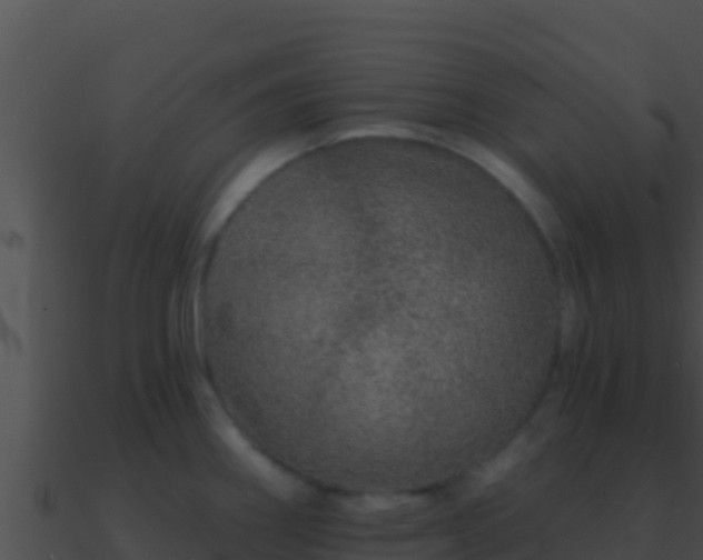 X0000090871290200708031001