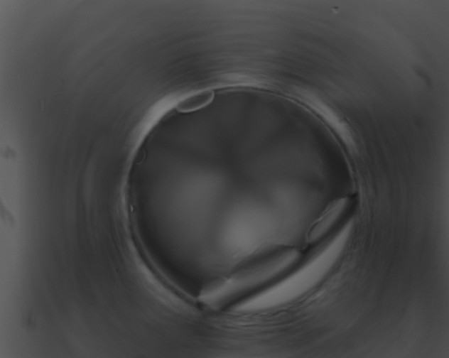 X0000090871291200708031001