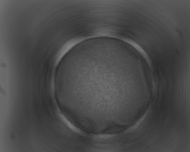 X0000090871294200708031001