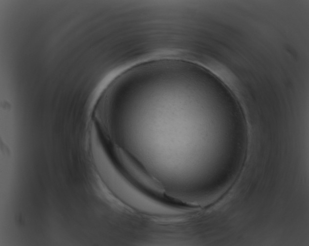 X0000090871296200708031001