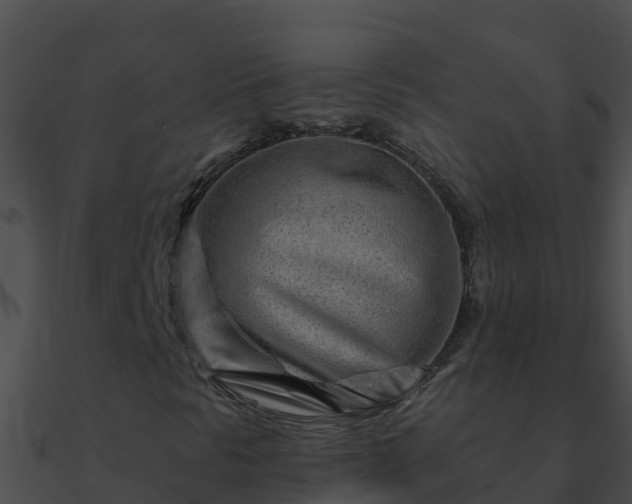 X0000090871297200708031000