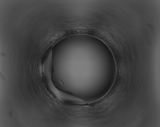 X0000090871298200708031000