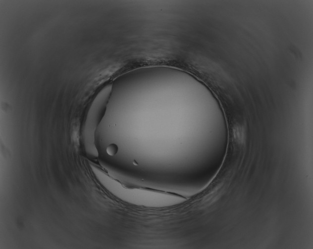 X0000090871300200708031000