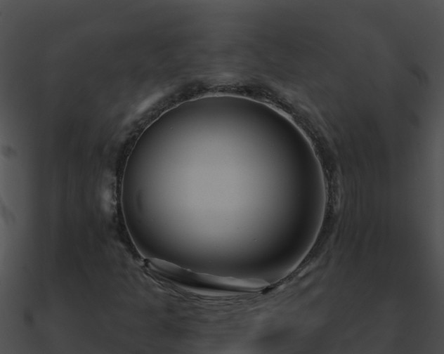 X0000090871301200708031000