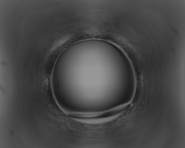 X0000090871302200708031000