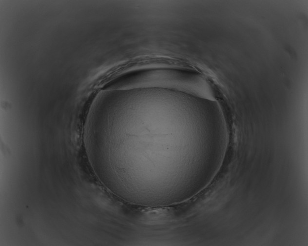 X0000090871303200708031000