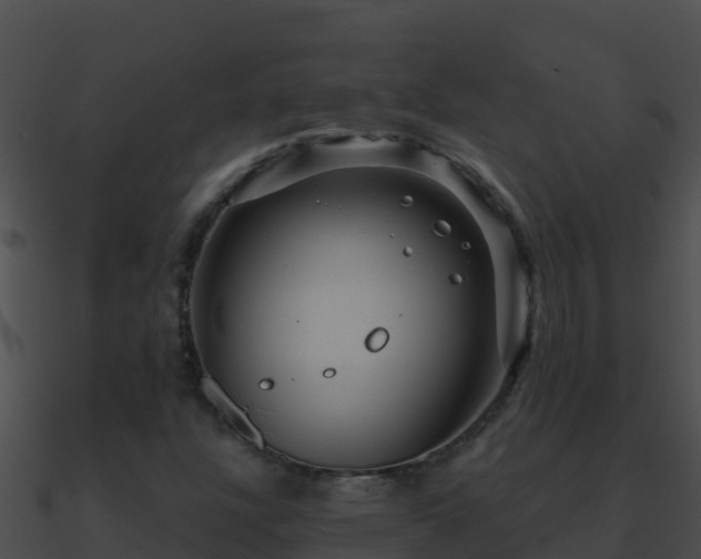 X0000090871304200708031000