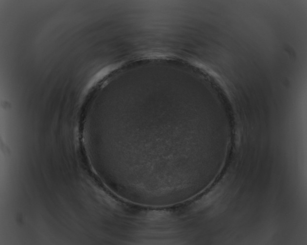 X0000090871306200708031000