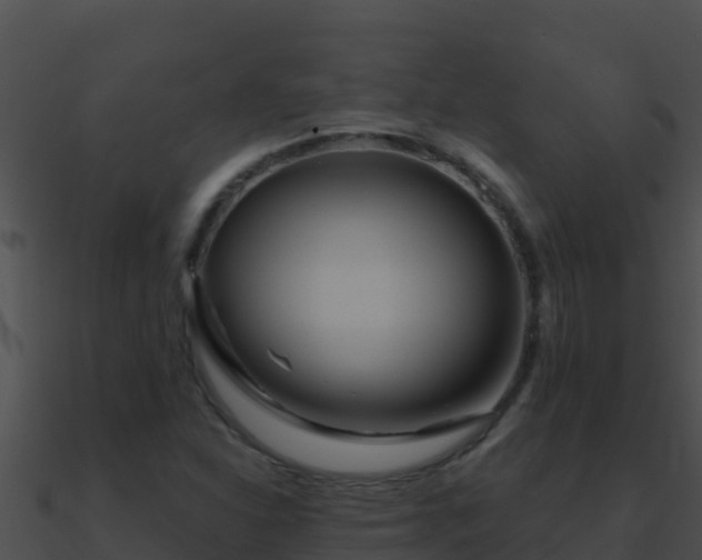 X0000090871310200708031000