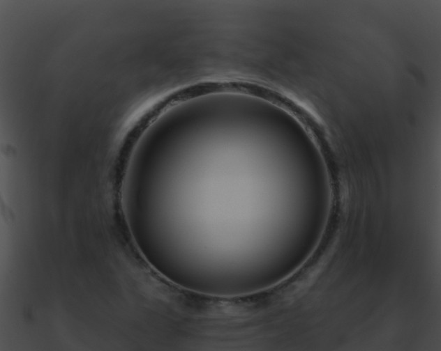 X0000090871311200708031000