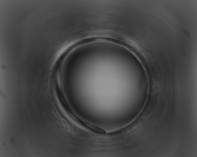 X0000090871312200708031000