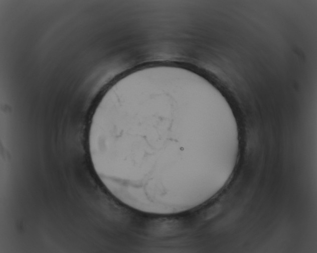 X0000090871314200708031000