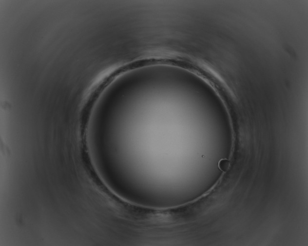 X0000090871315200708031000