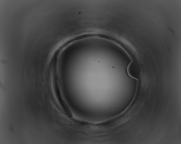 X0000090871318200708031000