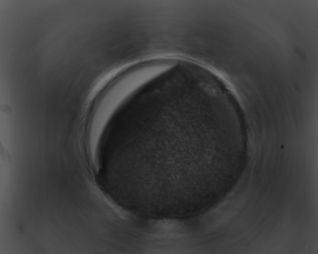 X0000090871319200708031000