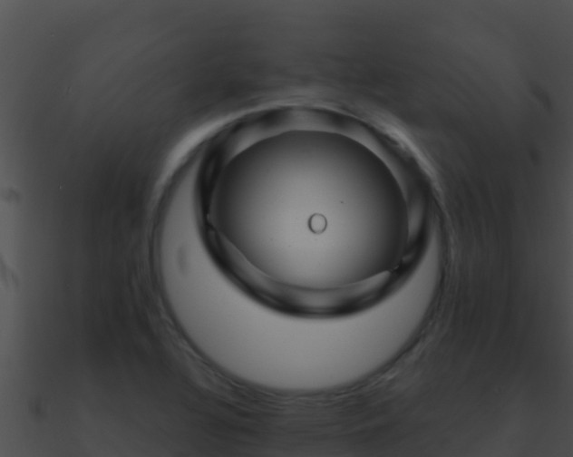 X0000090871320200708031001