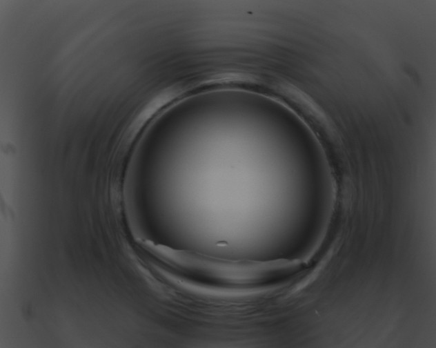 X0000090871321200708031001