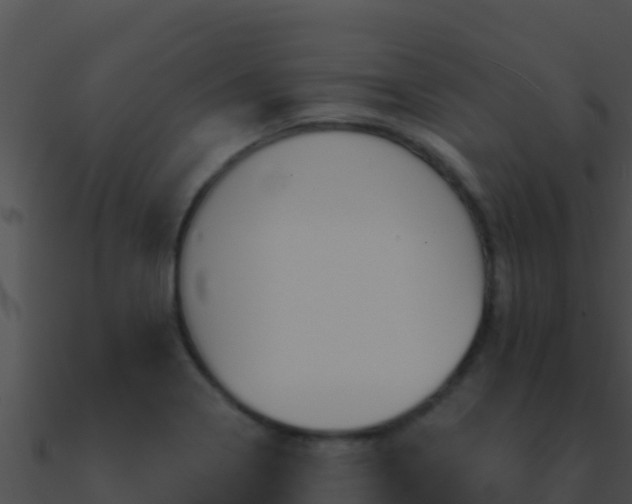 X0000090871322200708031001