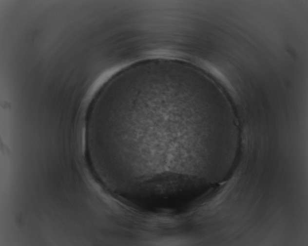 X0000090871323200708031001