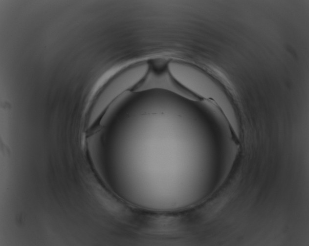 X0000090871324200708031001