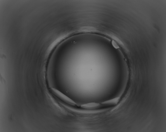 X0000090871325200708031001