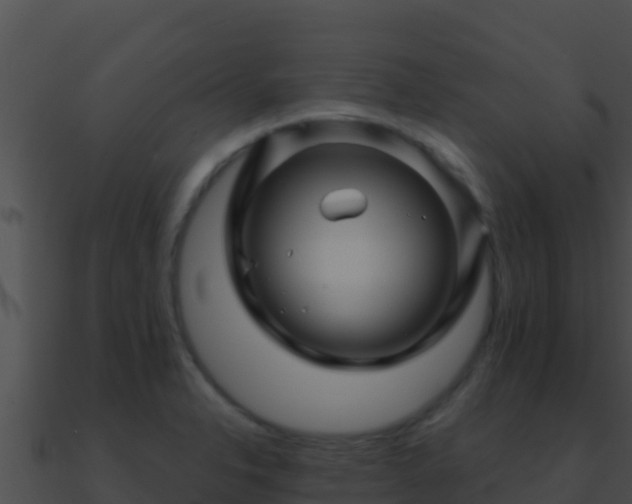 X0000090871326200708031001