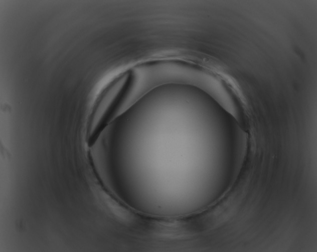 X0000090871328200708031001