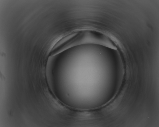 X0000090871329200708031001