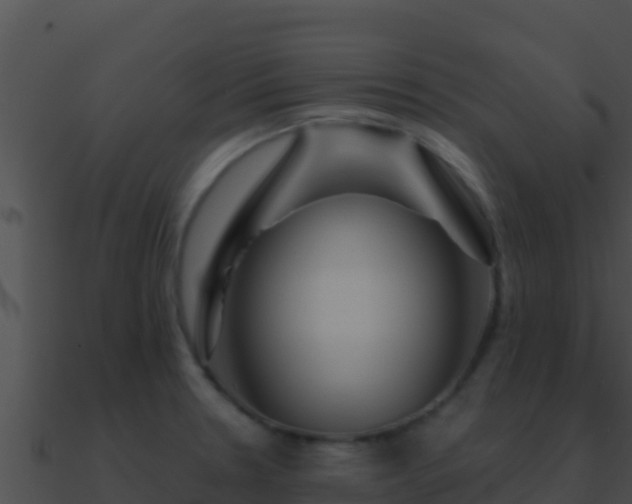 X0000090871330200708031001