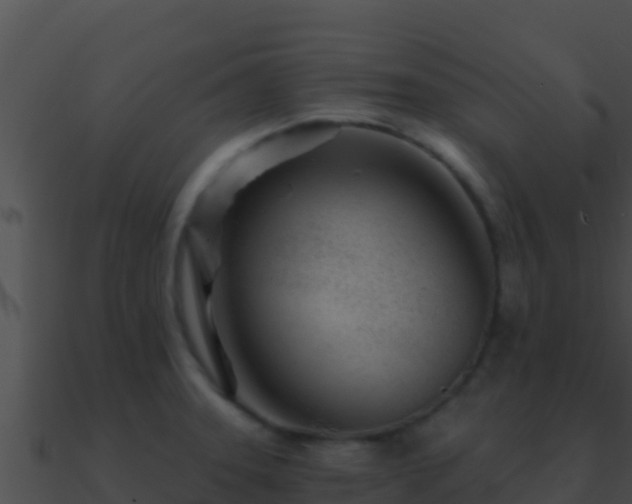 X0000090871331200708031001