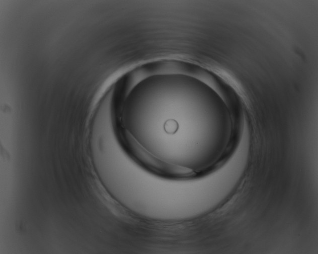 X0000090871332200708031001