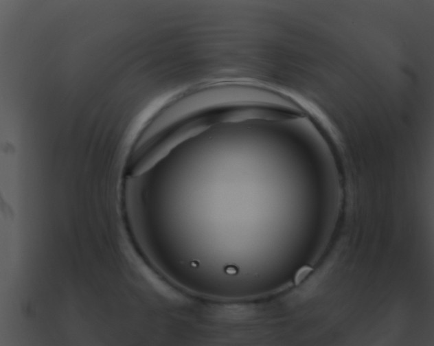 X0000090871333200708031001