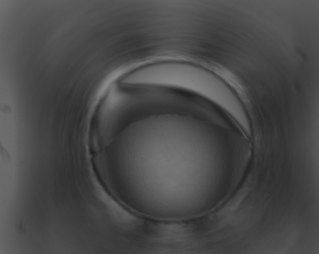 X0000090871334200708031001