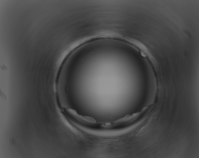 X0000090871335200708031001