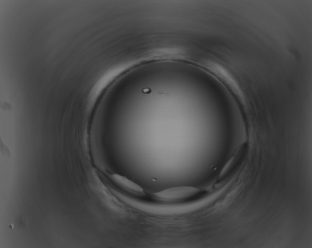 X0000090871336200708031001