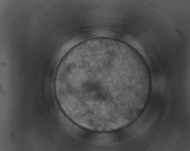 X0000090871338200708031001