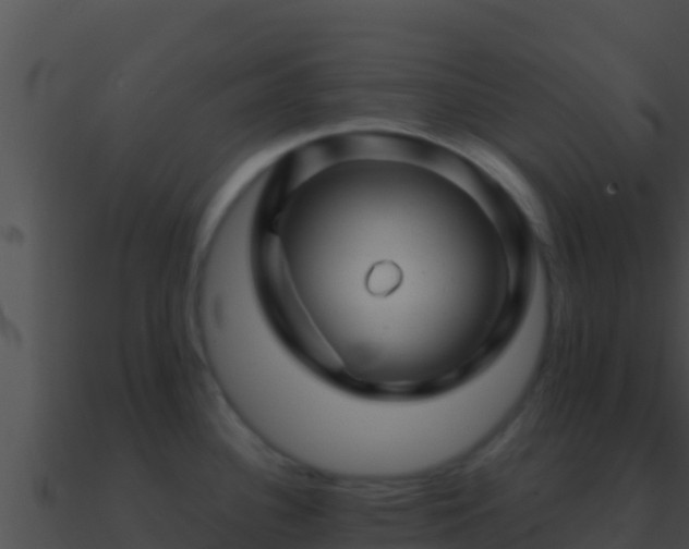 X0000090871340200708031001