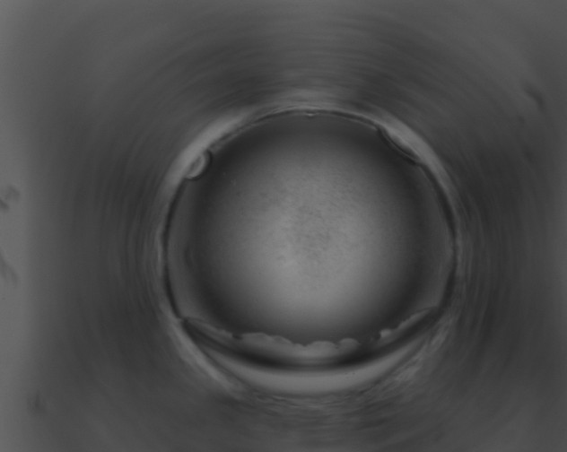 X0000090871341200708031001