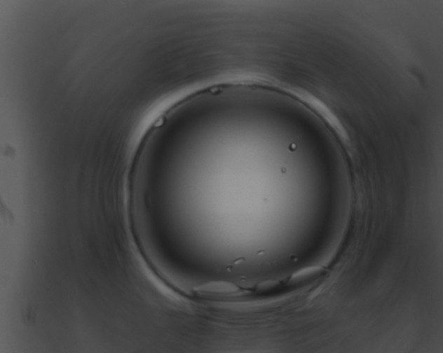 X0000090871343200708031001