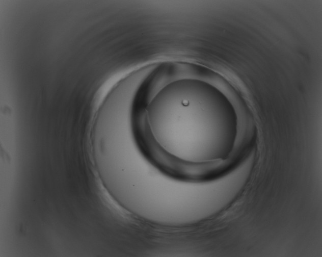 X0000090871344200708031001