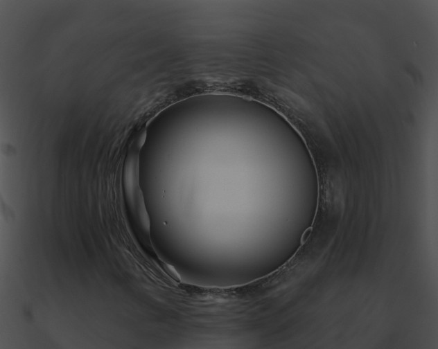 X0000090871346200708031000