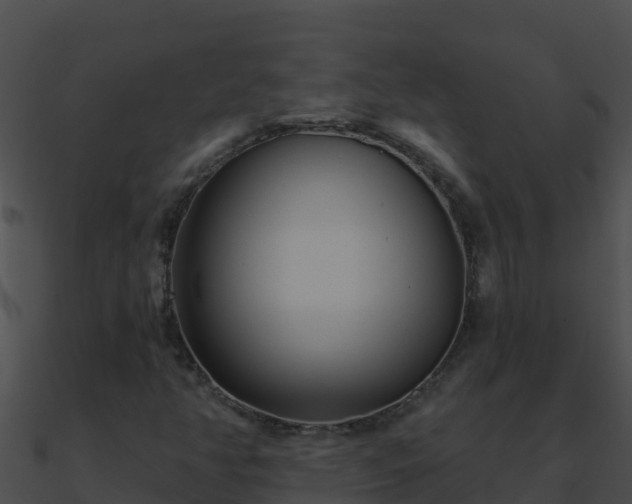 X0000090871350200708031000