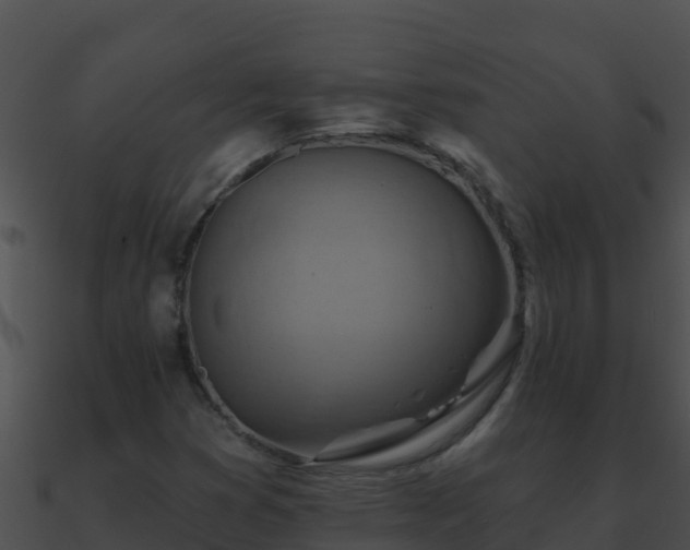 X0000090871353200708031000