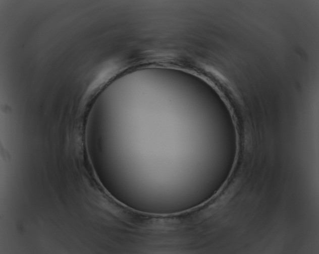 X0000090871354200708031000